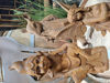 Picture of decorations  jardins